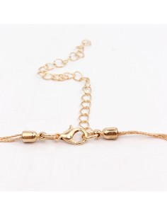 Collar Clea