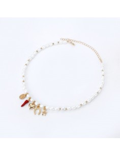Collar Blessed Charms