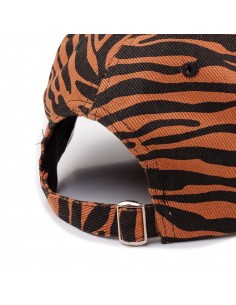 Gorra Zebra Colours (J5924)