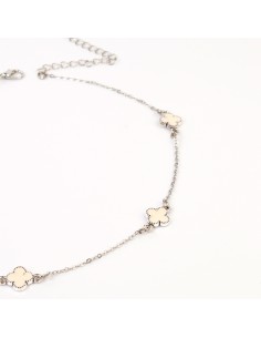 Collar Trendy
