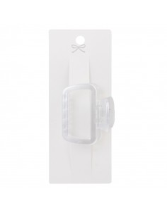 Broche Winter