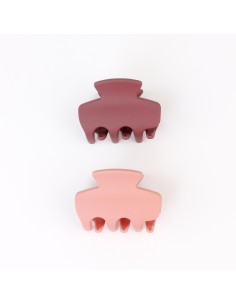 Broche Set x 2 Anne