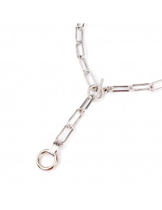 Collar Slim Silver Chain