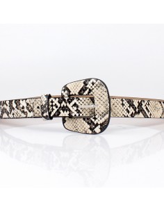 Cinturón Reptil
