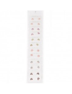 Aro Plata Dorada Shell Set x 12u. (AA4208)