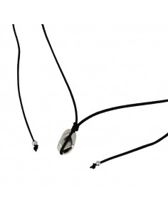 Collar Boston